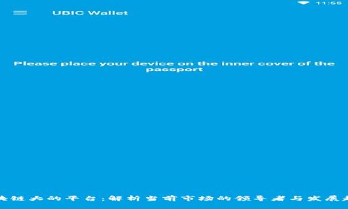 区块链大的平台：解析当前市场的领导者与发展趋势